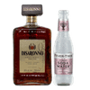 Disaronno Fizz Cocktail Pack