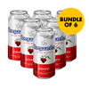 Hoegaarden Rosée 330ml Bundle of 6