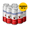 Hoegaarden Rosée 500ml Bundle of 6