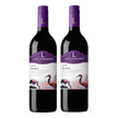 Lindeman's Bin 50 Shiraz Twin Pack